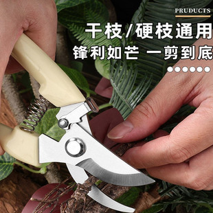 园艺剪修枝剪手工花艺剪子果树枝条剪修花卉剪刀专用工具修枝神器