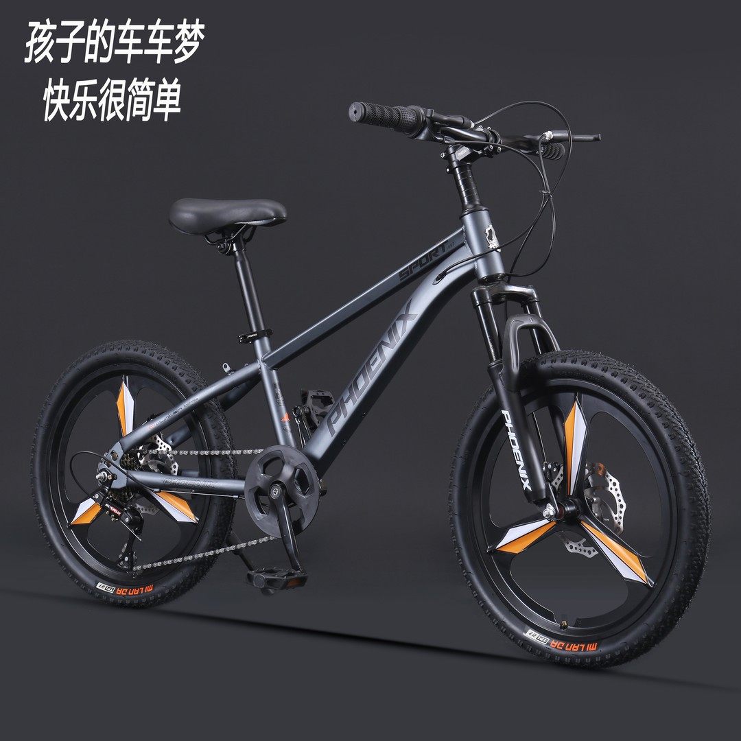 凤凰自行车6-8-10-15岁中大童男女孩20寸软尾山地变速碟刹小学生,自行车/骑行装备/零配件,青少年学生车,淘宝优惠券,粉丝福利购,淘宝优惠卷