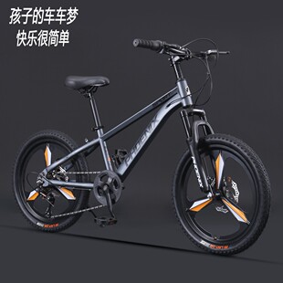 15岁中大童男女孩20寸软尾山地变速碟刹小学生 凤凰自行车6