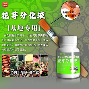 【不爆崽退全款】多肉绿植鲜花专用花芽分化液基地款