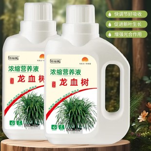 农福颂龙血树专用肥料龙须树植物营养液治黄叶掉叶绿植盆栽花肥