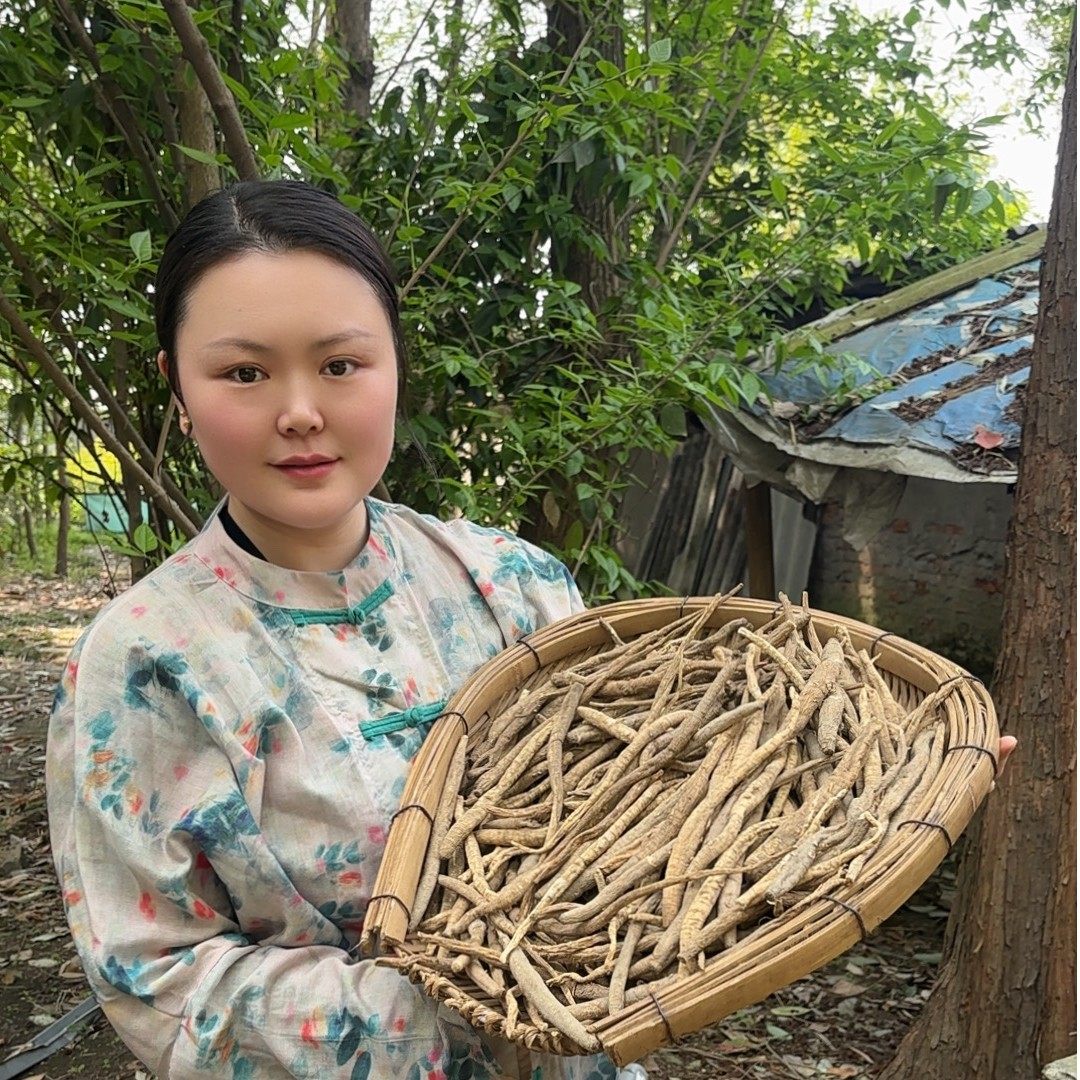 现收阿坝藏民土货当归炖汤炖鸡煮水煮鸡蛋炖猪蹄炖排骨很香