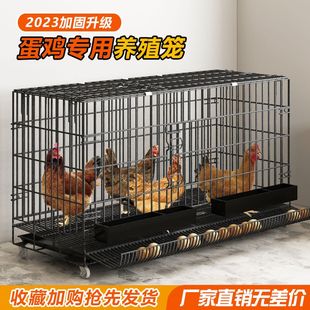 养鸡专用笼鸡笼子家用大号加粗加密养殖笼可折叠自动滚蛋清粪鸡舍