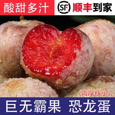 顺丰包邮新疆恐龙蛋当季新鲜水果杏李子酸甜多汁礼盒装TH