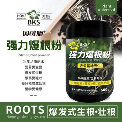 贝可施强力爆根粉高纯爆根王园艺快速生根液生根粉发根扦插家用