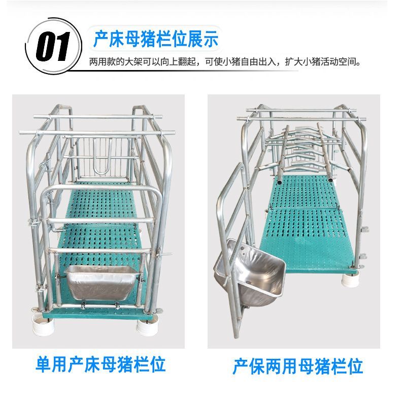 新款加厚双体母猪产床保育床一体产保两用产床猪用产保单体一整套