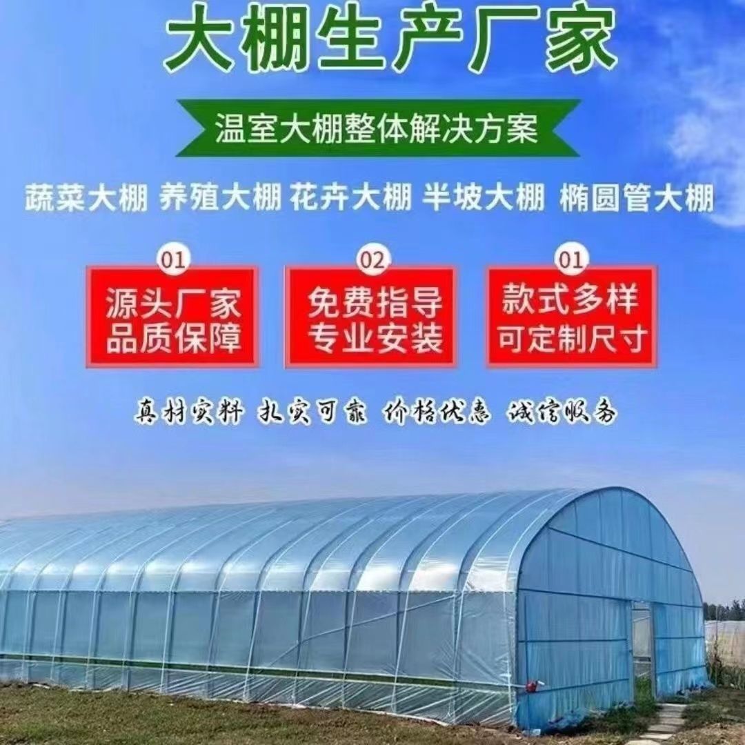 蔬菜种植大棚钢管骨架全套鸡鸭鹅养殖保温棚花卉家用温室大棚定制