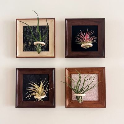 字画裱框边框自装九宫格高级复古感装饰画空气凤梨墙面磁吸组合画