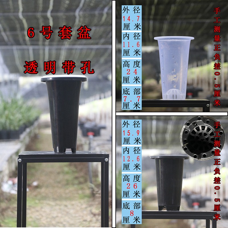 兰花套原盆 白色带侧孔黑色无侧孔可视化兰场专用盆塑料透气滤水