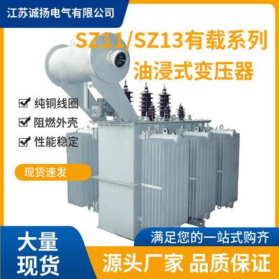 S11-100/10/0.4油变100KW变压器油浸式变压器100KVAS11油变