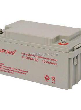 Loupower莱力蓄电池6-GFM-65供应莱力蓄电池12V6H包邮