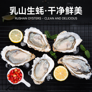 可生食新鲜牡蛎特大乳山生蚝即食水产生蚝肉海鲜 ±4两/个 5斤装