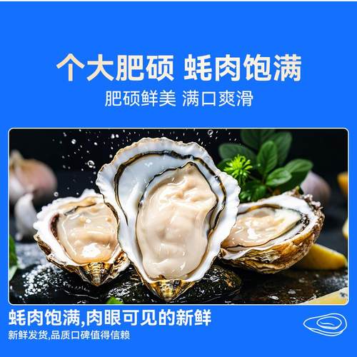 乳山生蚝生蚝鲜嫩多汁饱满鲜甜
