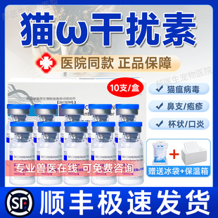 猫干扰素猫用口炎猫鼻支猫传腹疱疹冠猫杯状猫瘟病毒呕吐拉稀消炎