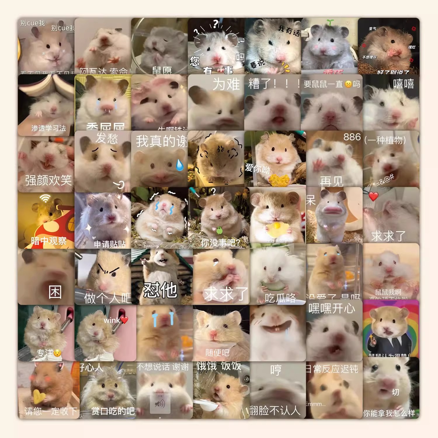 仓鼠表情贴纸超萌ins可爱装饰