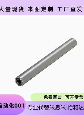 配管滚轮带轴承RORLAH/RORLM40-15-L100/RORLAK/RORLSH/RORAA6080