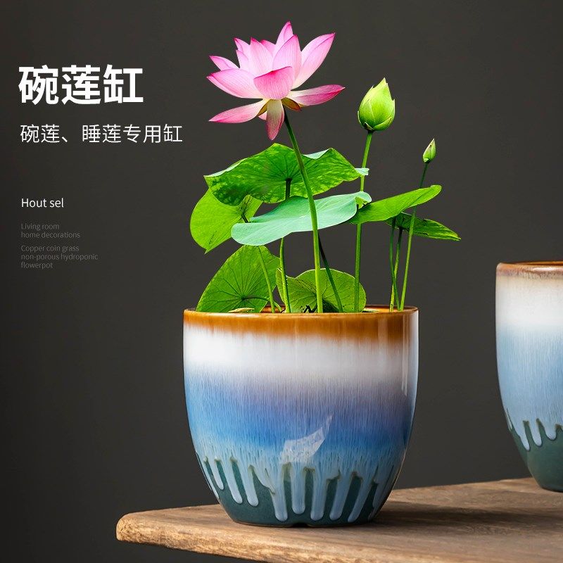 碗莲睡莲专用水培花盆家用大小号水养绿植缸大口径窑变陶瓷器皿