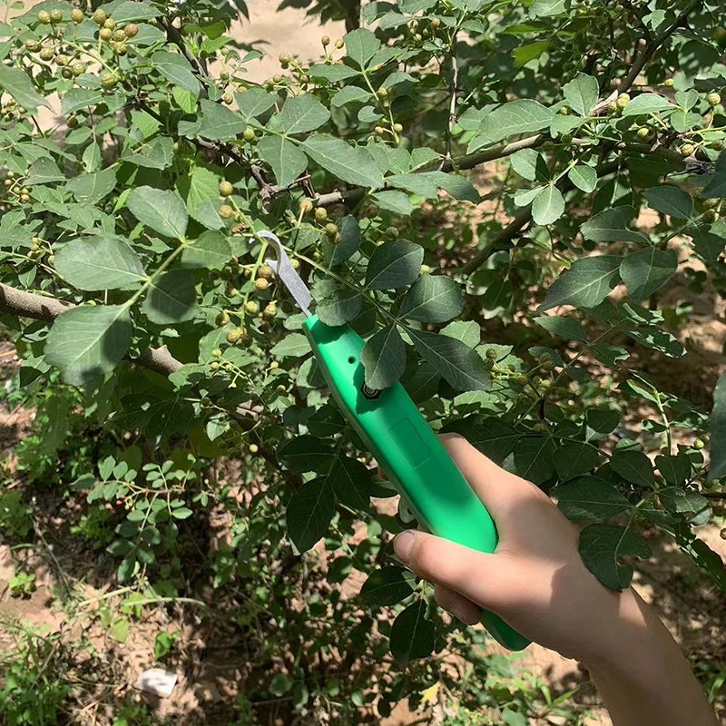 花椒采摘神器花椒采摘剪刀摘果子稀花工具剪葡萄辣椒农具花椒剪刀