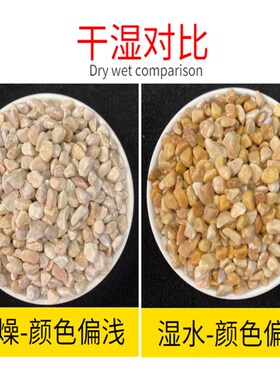 黄色石子砾石石头水磨石石子水洗石胶粘石枯山水石子小沙造景米石