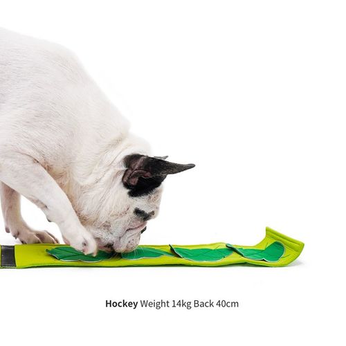 狗狗玩具藏食益智闻嗅藏食解闷嗅闻垫磨牙漏食响纸宠物发声玩具