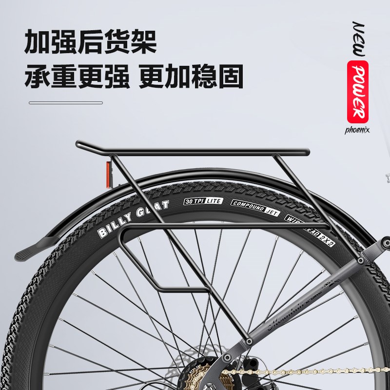 凤凰铝合金四连杆锂电电动自行车男女士成年人26/29寸助力电动车