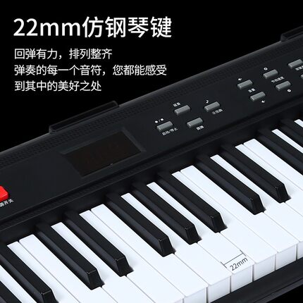 专业便携式电子琴61键盘成年人初学者入门幼师儿童多功能家用电钢