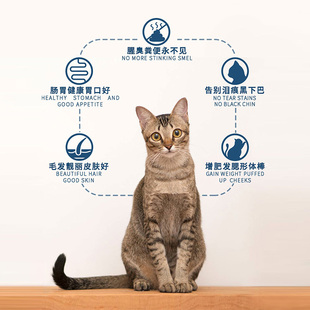 生生不息猫咪主食冻干成猫幼猫粮生骨肉配方发腮增肥营养零食400g