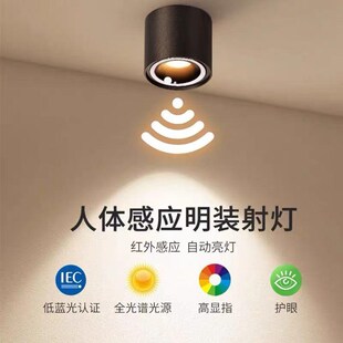 充电免接布线人体感应光感明装射灯入户门过道走廊灯楼道车库筒灯