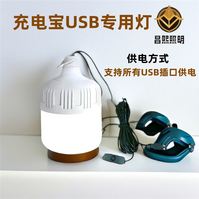 5v USB插口led应急灯泡摆地摊 户外照明灯泡超亮LED节能灯停电宝