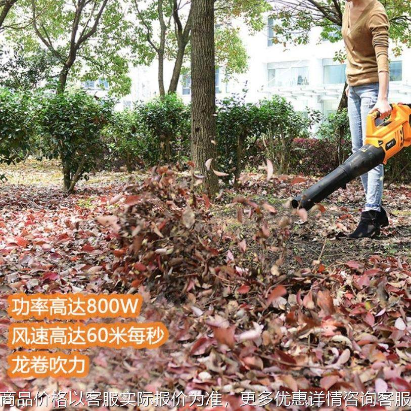 58V手提式大功率充电式吹风机 无线鼓风机 马路吹树叶吹叶机,农机/农具/农膜,林业机械,淘宝优惠券,粉丝福利购,淘宝优惠卷
