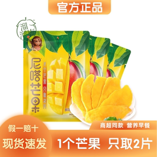 4袋0加防腐剂水果干休闲解馋零食 溜溜梅芒果干100g 官方正品