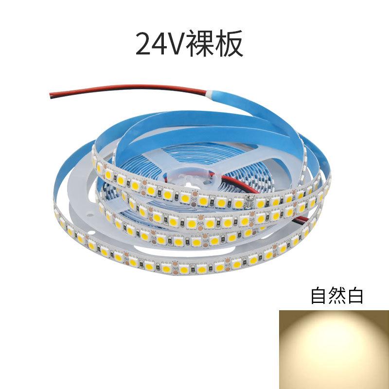 LED软灯带12V24V5050自粘客厅户外防水贴片超亮120珠灯条光带线灯