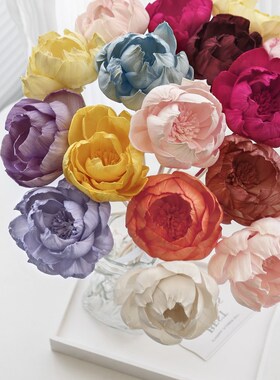 牡丹手工干花新中式软装设计插花配花配叶装饰摆件香薰通草花DIY