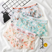 男K生透气纯棉裆四角短裤 冰丝男士 超薄款 印花平角裤 内裤 网纱夏季