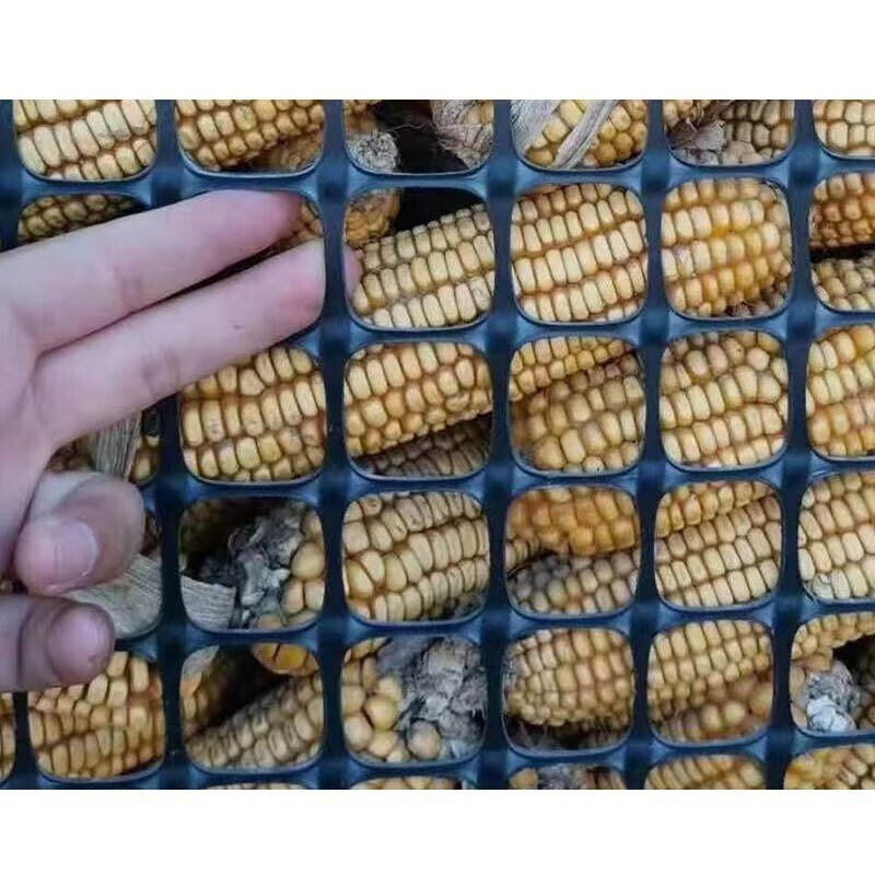 销塑料网防护围栏网菜园栅栏圈地玉米网拦鸡网围鱼塘果园养殖网家