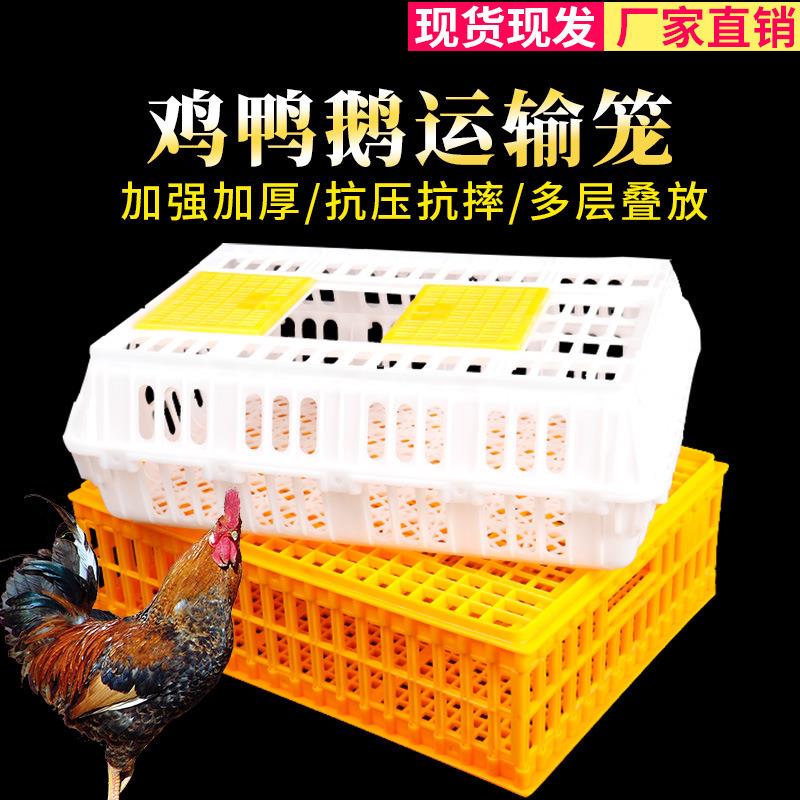 成鸡运输笼鸡用周转箱塑料鸡笼家用鸡鸭鹅运输筐兔笼鸽笼加厚笼子