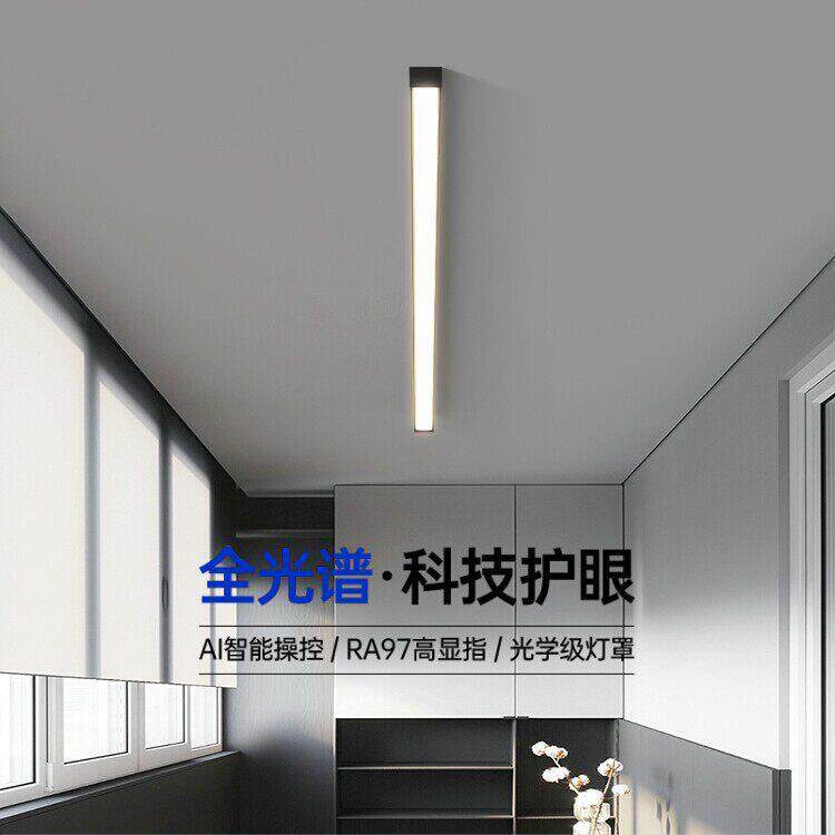 阳台灯吸顶灯走廊过道灯极简长条阳光房入户衣帽间玄关灯三色变光