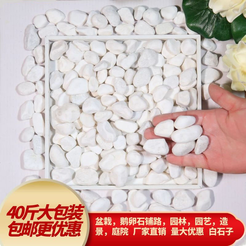白色鹅卵石铺路造景园林装饰景观庭院雨花石绿植景观多肉小白石子