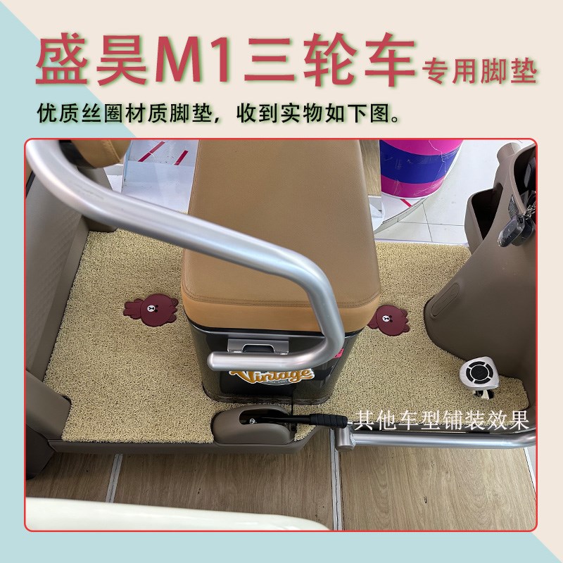 适用盛昊M1电动三轮车脚垫防滑厚丝圈耐磨专用脚踏板踩垫踏皮垫m1
