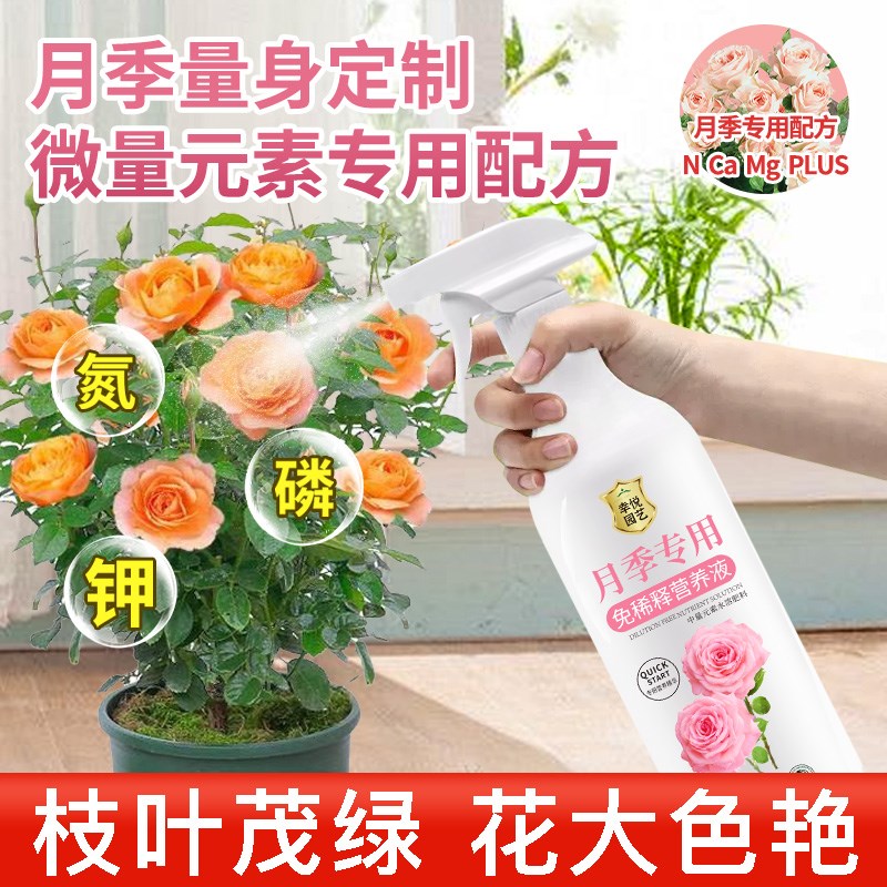 月季花专用肥月季营养液黄叶玫瑰花蔷薇花开花肥料叶面肥盆栽肥