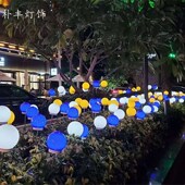 led圆球芦苇灯亚克力磨砂户外防水插地灯景观灯亮化工程灯草坪灯
