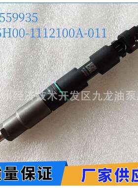 共轨喷油器28559935D5H00-1112100A-011适用于德尔福玉柴长城