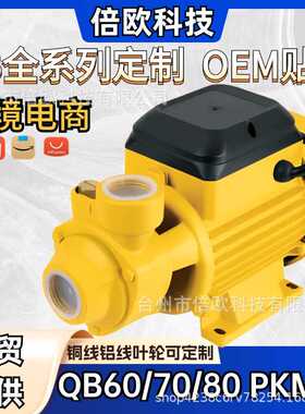 QB60/70/80/50旋涡泵PKM系列220V/110V/12V/24V自吸泵