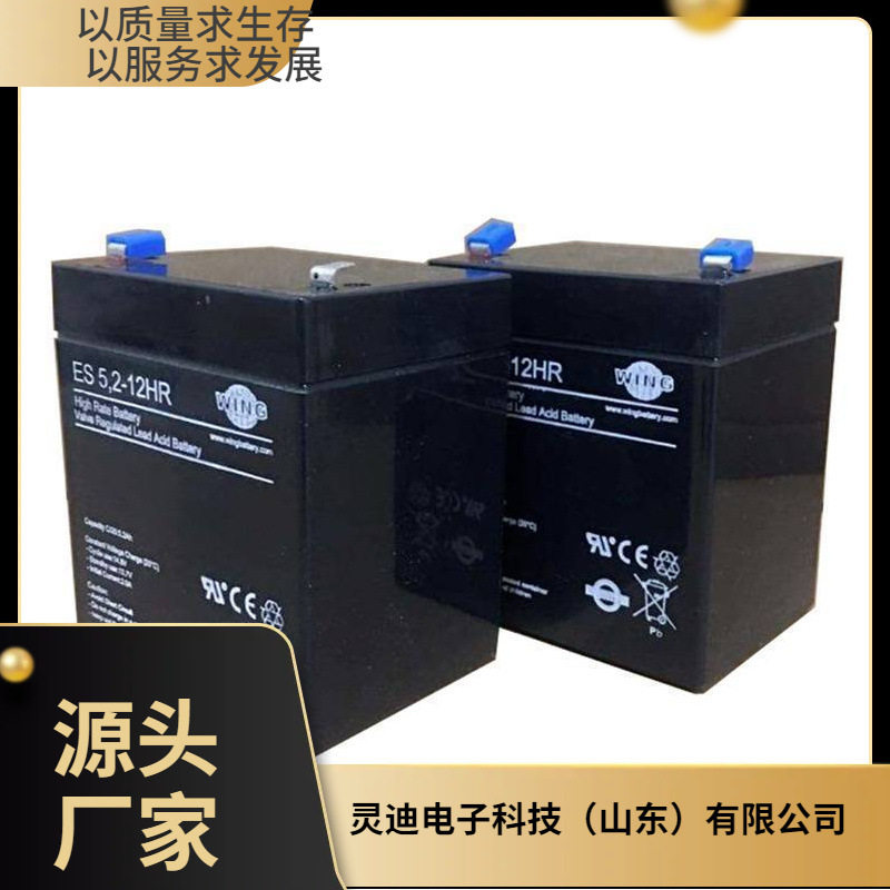 德国WING蓄电池ESL55-12 12V55AH直流屏 配电柜 UPS/EPS电源配套