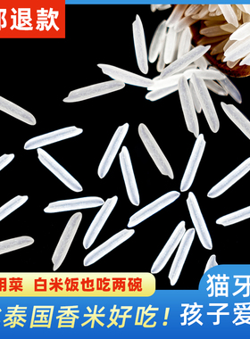 正宗猫牙米大米2025年新米长粒香猫牙米大米5kg丝苗米煲仔饭专用