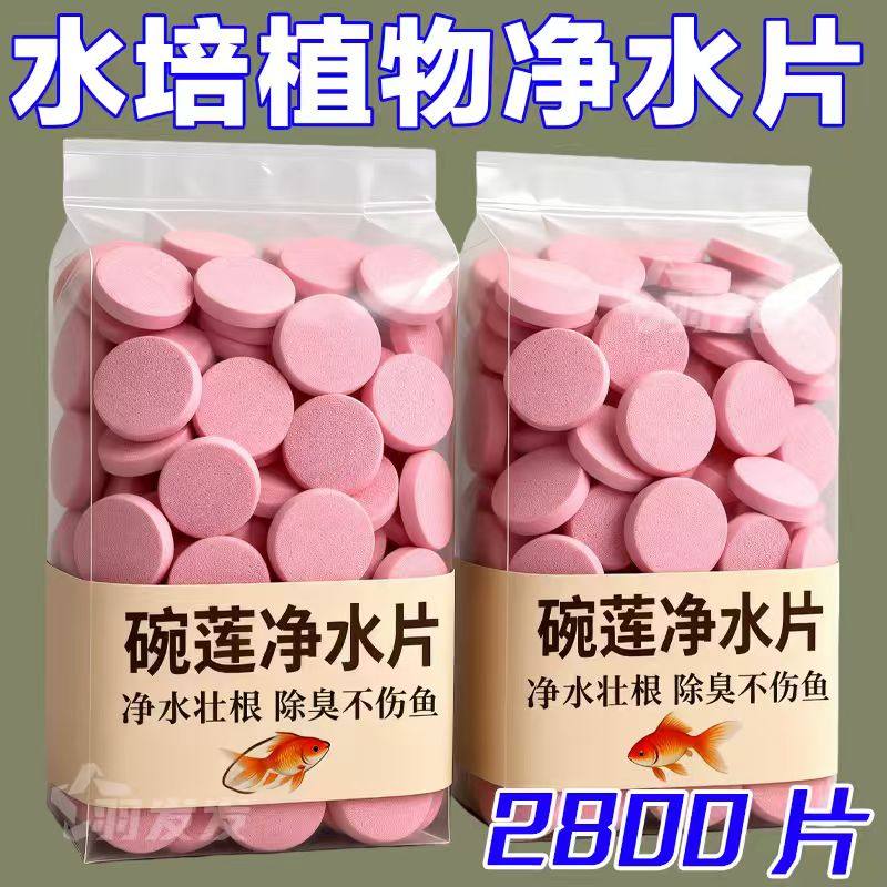 水培植物净水剂片铜钱草碗莲专用防浑浊防发绿温和护植株预防发绿,宠物/宠物食品及用品,鱼缸净水剂,淘宝优惠券,粉丝福利购,淘宝优惠卷