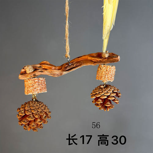鹦鹉啃咬玩具松果玉米树根秋千互动玩具鸟站架天然啃咬宠物用品