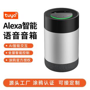 源头工厂智能家居全屋涂鸦平台系统Alexa语音音箱多国安防传感器