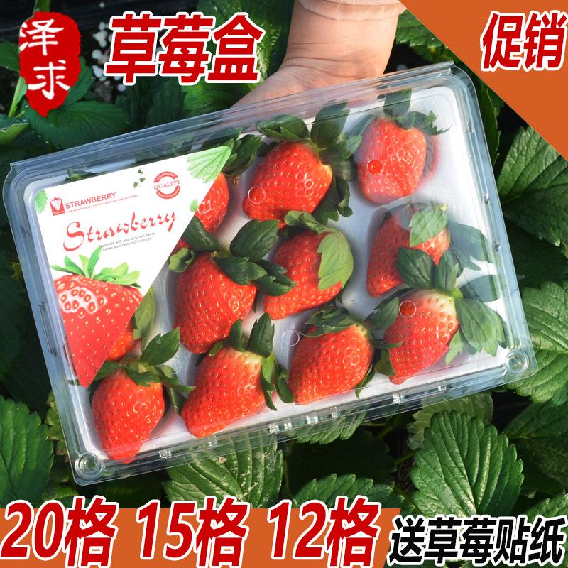 一次性草莓盒快递打包盒子透明塑料保鲜透气带内衬托盘水果包装盒