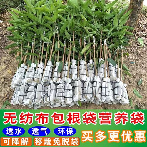 加厚无纺布树苗袋一次性容器杯鑫茂源营养袋槟榔葡萄树人气育苗杯